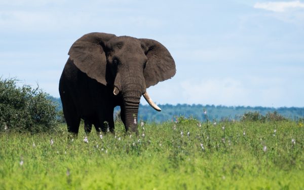 Golfreisen nach Südafrika